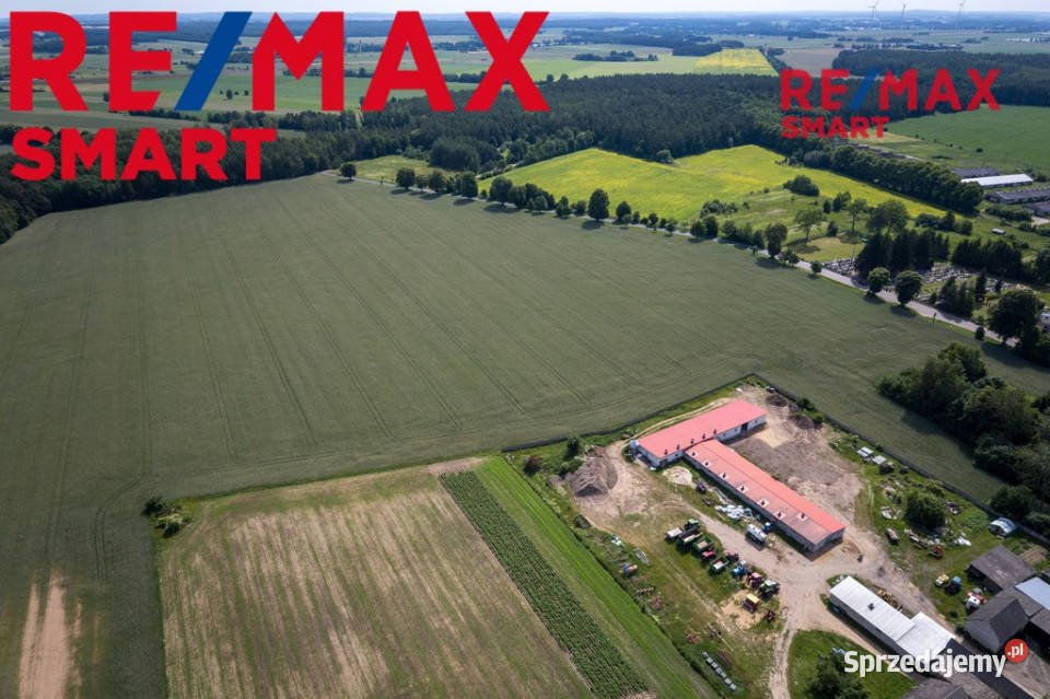 901 ha MPZP produkcja logistyka 1 S7 Białuty sprzedam