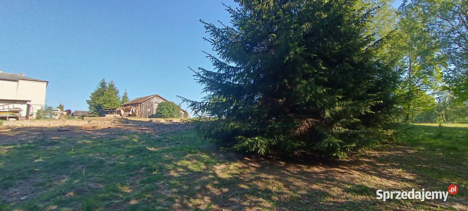 sprzedaży gruntu 1221m2 TumlinDąbrówka Tumlin Tumlin-Dąbrówka