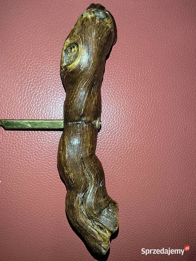 Korkociąg z drzewca korzennego Suwałki