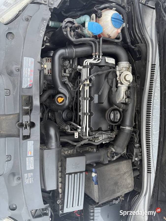 Seat Leon ll 19 tdi 105 stan Leon Janowiec Wielkopolski