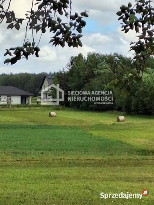 sprzedaży działki Pomlewo 2210m2