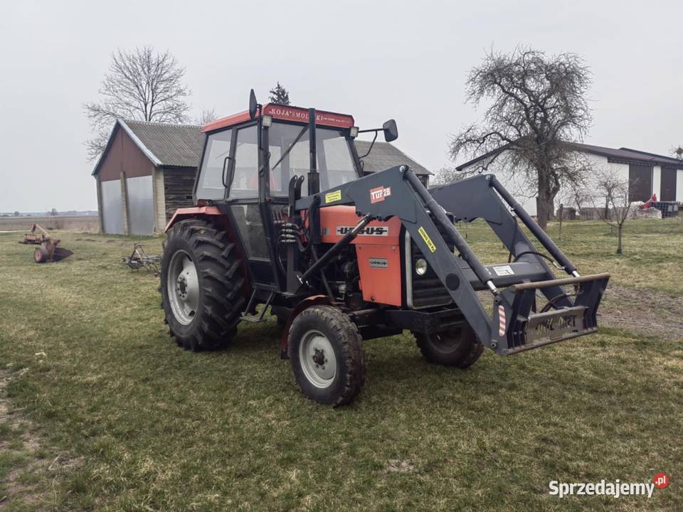 Tur ursus 4512 Bokinka Pańska