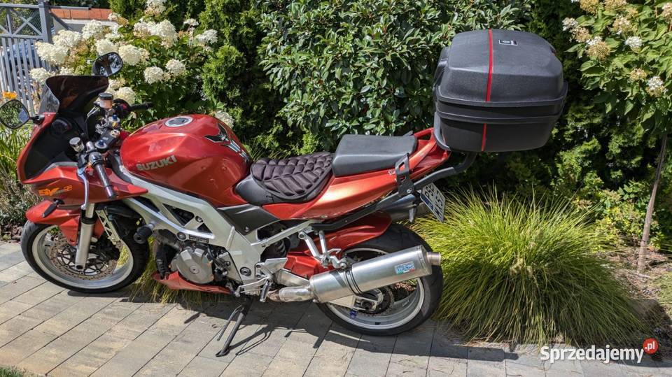 Suzuki SV 1000 S nieuszkodzony wielkopolskie Śrem sprzedam