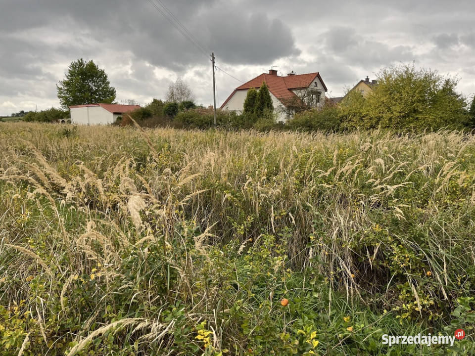 Działka budowlanousługowa w Końskowoli gm Puławy Końskowola