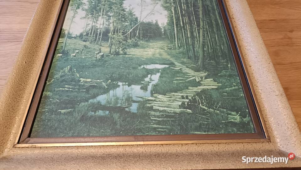 Dwa Ładne stare obrazy Reprodukcja mazowieckie Warszawa sprzedam