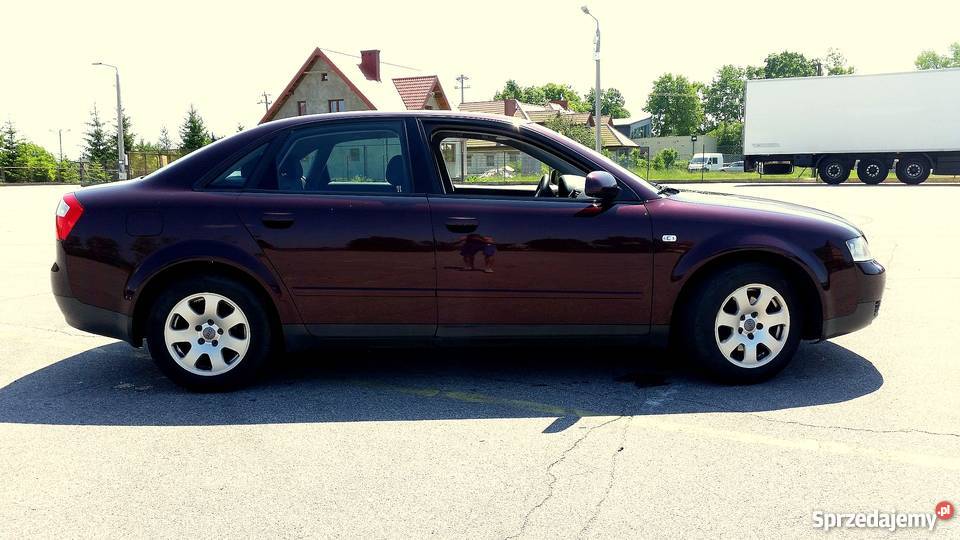 Audi A4 Piękne 100 bezwypadkowe A4 Samochody osobowe mazowieckie Pułtusk sprzedam