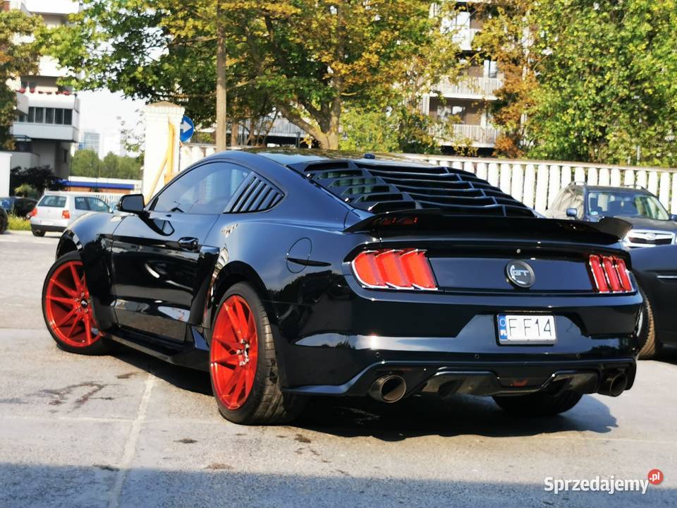V8 50L Manual Dokumentacja pochodzeniowa Bogate Mustang Warszawa