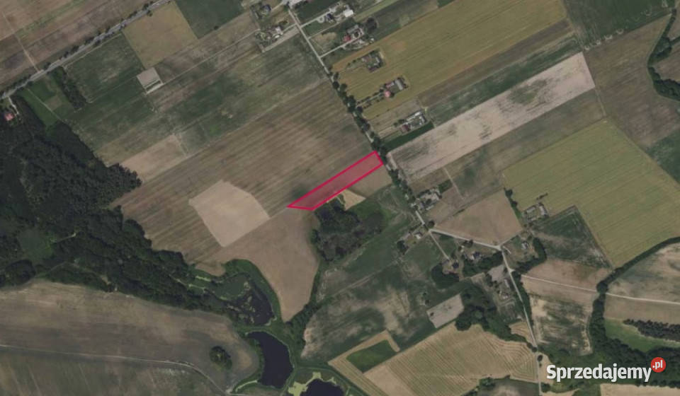 Działka 57 w Zaborowie Starym Zaborów Stary