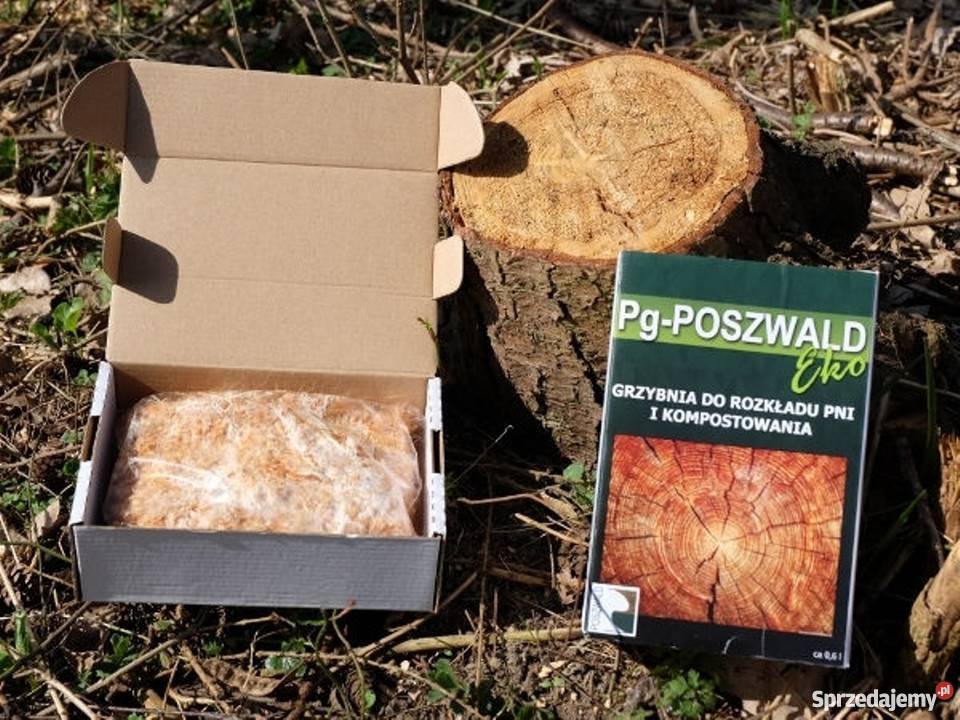 2 x PgPOSZWALD EKO to ekologiczna grzybnia do opolskie