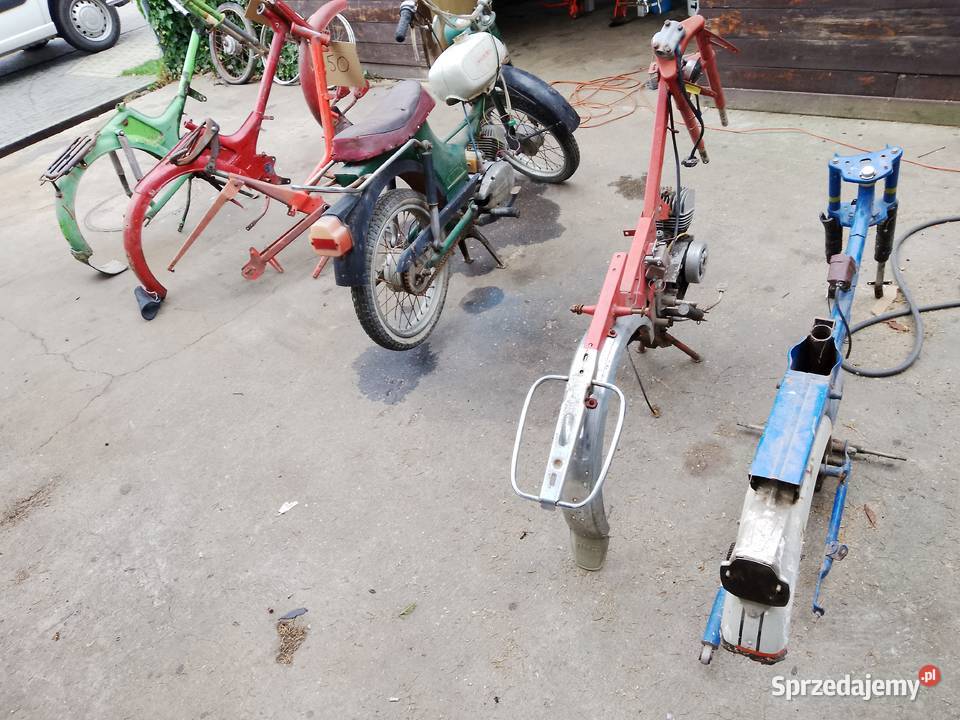 Komar Wierzchowina Riga Pakiet Całość Komar Plewiska