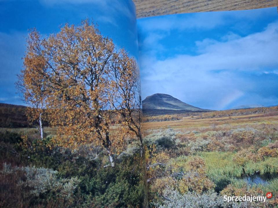 Schweden Mitte Sabine Gilcher Rother Kraków