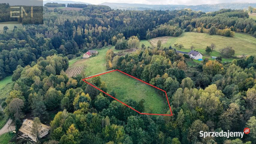 Działka 4000m2 Żyznów