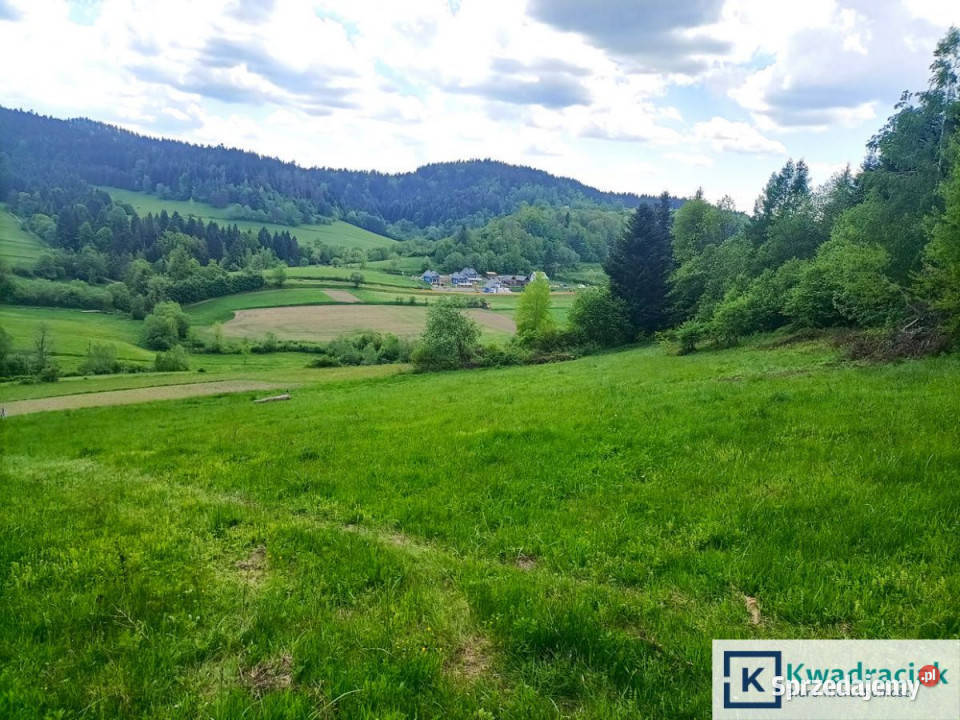 sprzedaży działki Zawóz 4214m2 69zł/m2