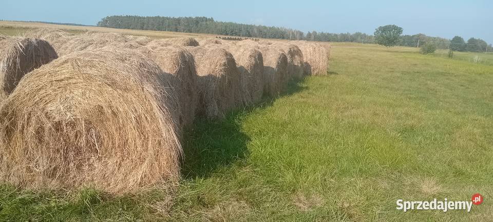 Sprzedam słomę lubelskie Hańsk-Kolonia