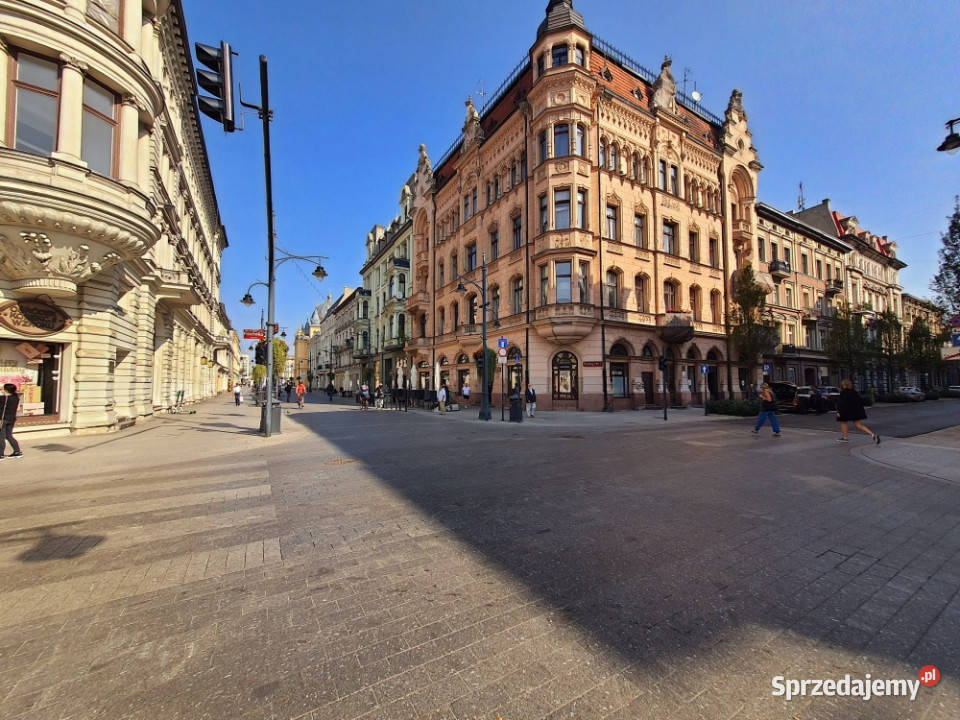 Kawalerka Inwestycyjna na Piotrkowskiej Łódź