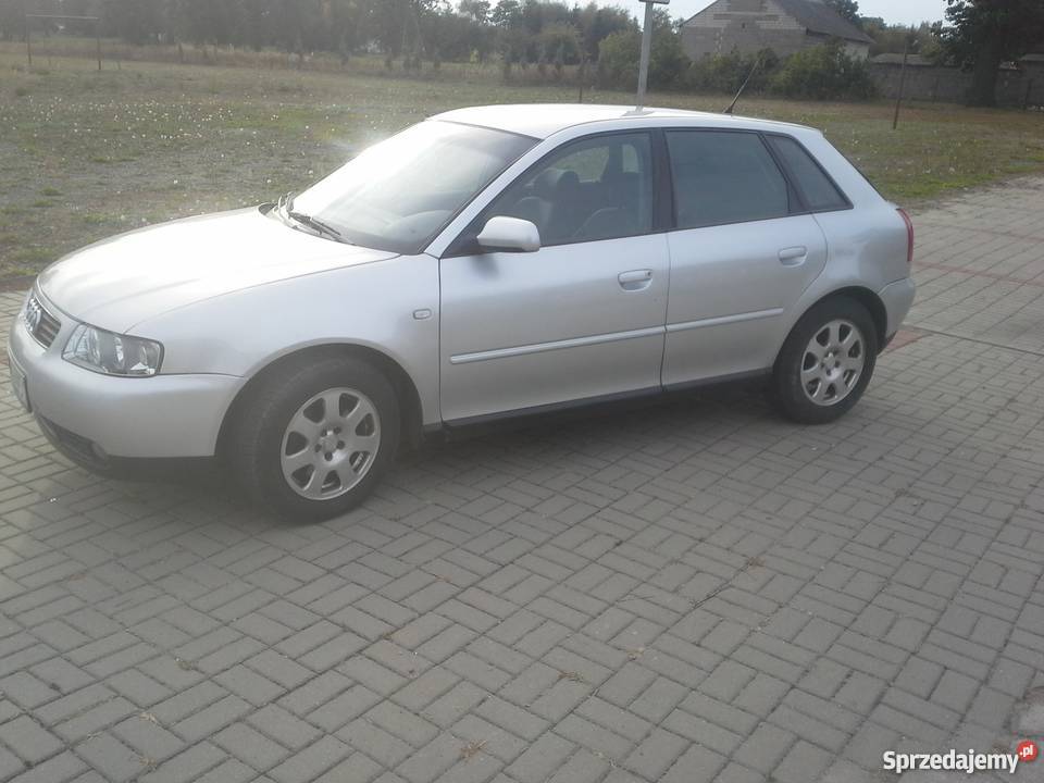 Audi A3 8L 2001 19 TDI Jaroszewice Grodzieckie