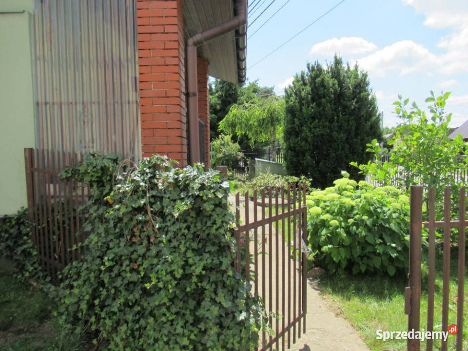 Sprzedam udział działka i dom Dyszów sprzedam