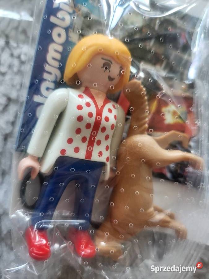 Playmobil figurka plus akcesoria 1