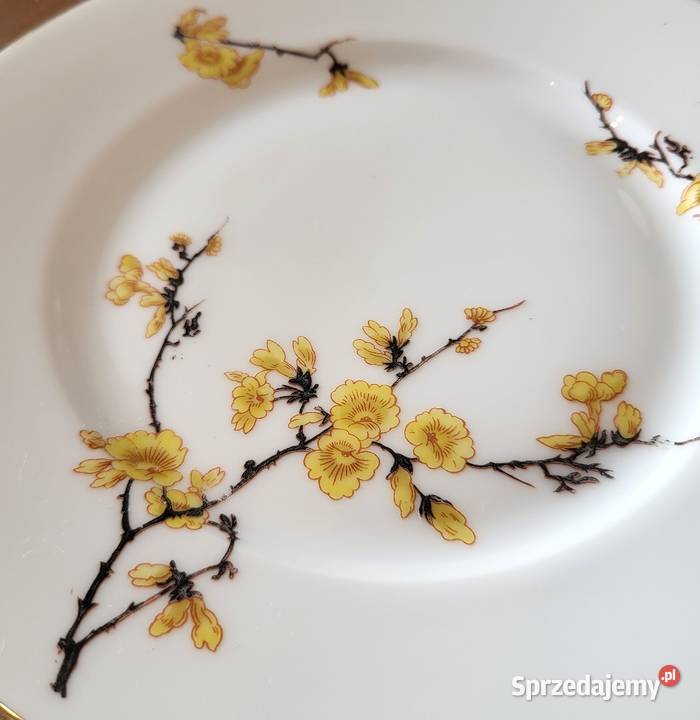 Tettau Bawaria wiekowy serwis do herbaty Szczecin