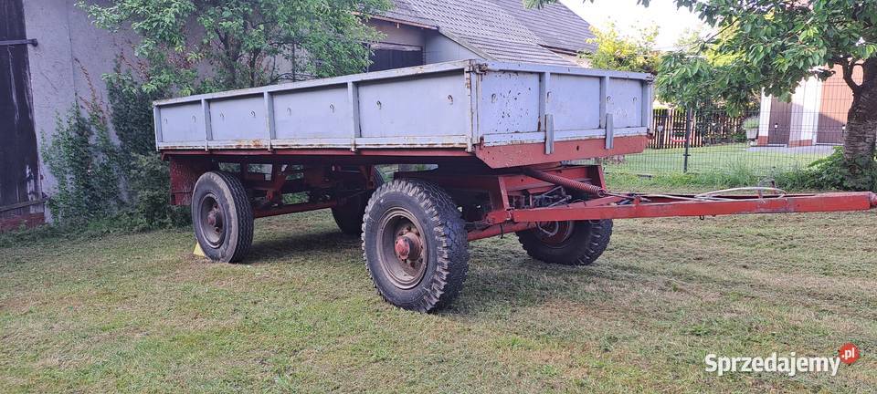 Przyczepa D50 sztywna Cynków