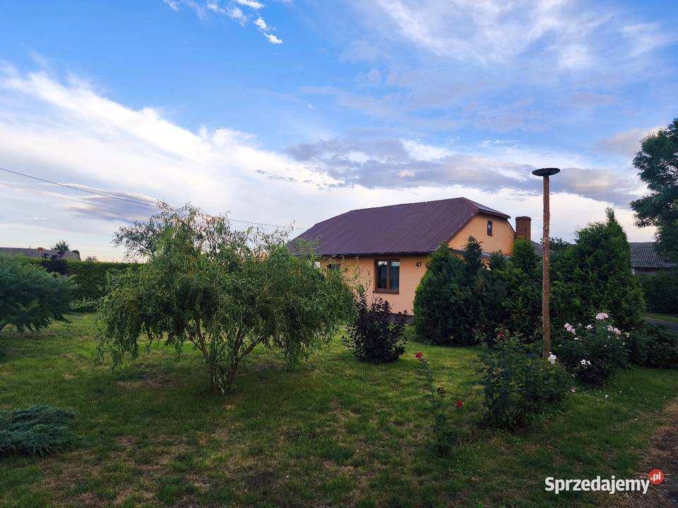 Siedlisko 219 ha dom 150m ROZTOCZE ZACHODNIE siatka Czernięcin Poduchowny