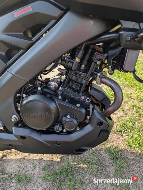 Yamaha MT125 Piła