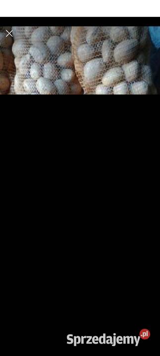 Ziemniaki paszowe ziemniaki odpadowe Produkcja roślinna wielkopolskie Kamieniec sprzedam