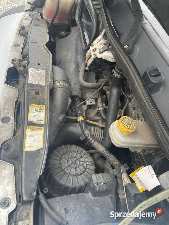 Ducato 30 maxi Siedlisko