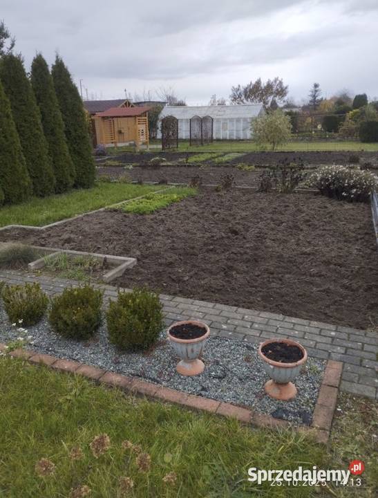 Działka Rekreacyjna 300 m2 Norwida ALTANKA Kluczbork