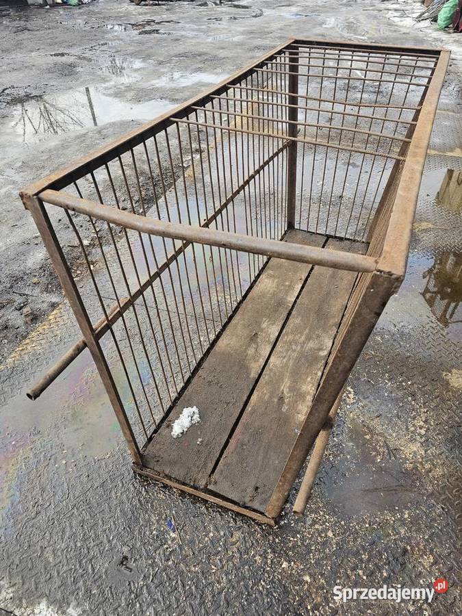 Klatka na świnie do transportu świń Drzewica