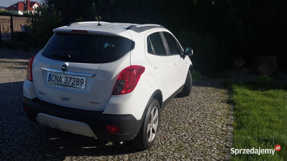 Opol mokka Nakło nad Notecią