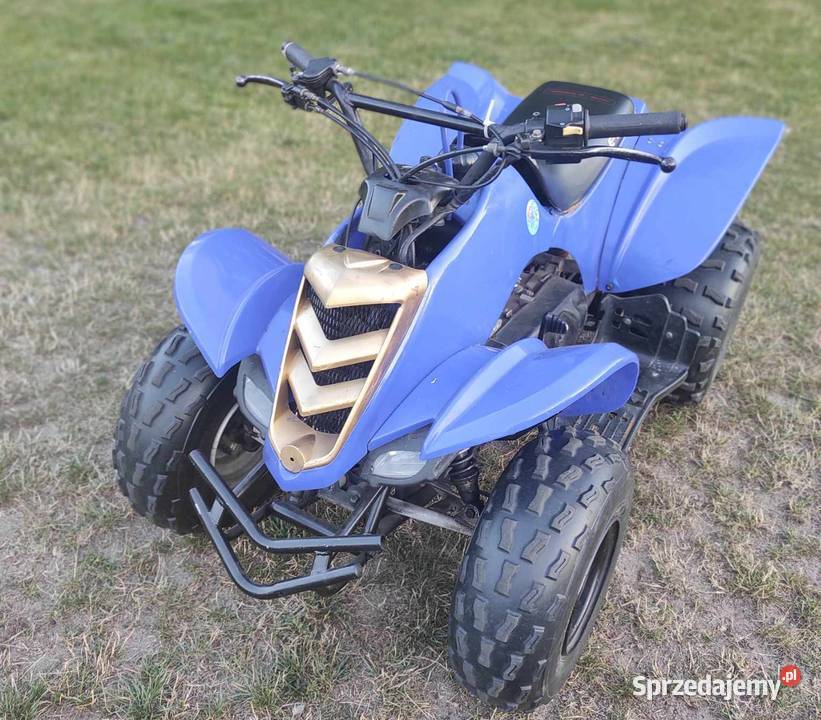 Quad ETon 90 cc benzyna Nowy Duninów