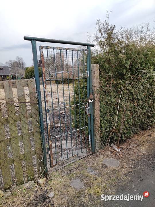 Działka ROD Parkiem w Pile Piła