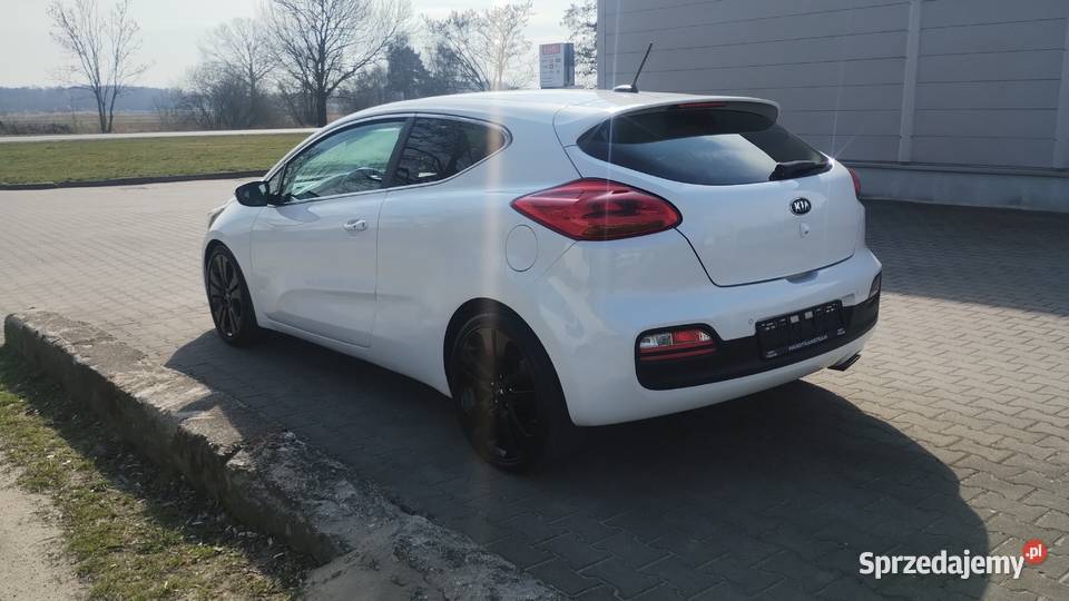 Kia ProCeed niski przebieg nieuszkodzony dolnośląskie Syców