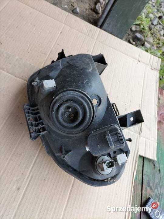 Thalia CLIO II LAMPA PRZÓD PRZEDNIA LEWA Kamień-Kolonia
