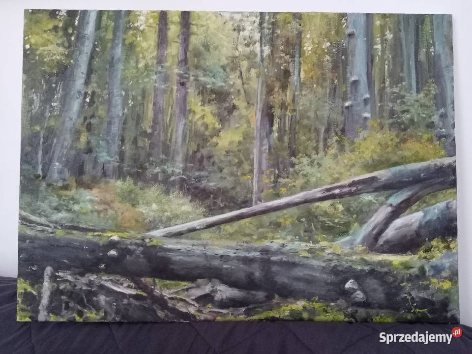 Obraz olejny 50x70 Bieszczady Malarstwo Przeworsk sprzedam