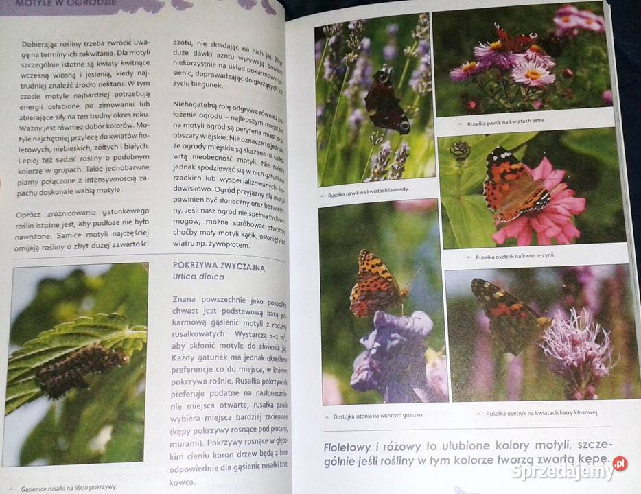 Ogród ostoja zwierząt J Niewolewska Sadownik K miękka lubelskie Chełm