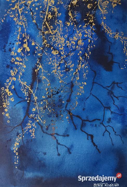 Akwarela Akwarelka Obraz pt Tajemniczy Ogród warmińsko-mazurskie Olsztyn sprzedam