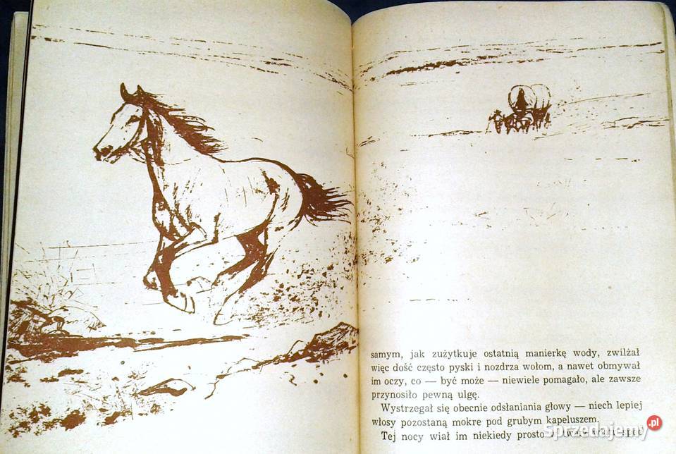 Kowbojskie ostrogi Richard Wormser Chełm sprzedam