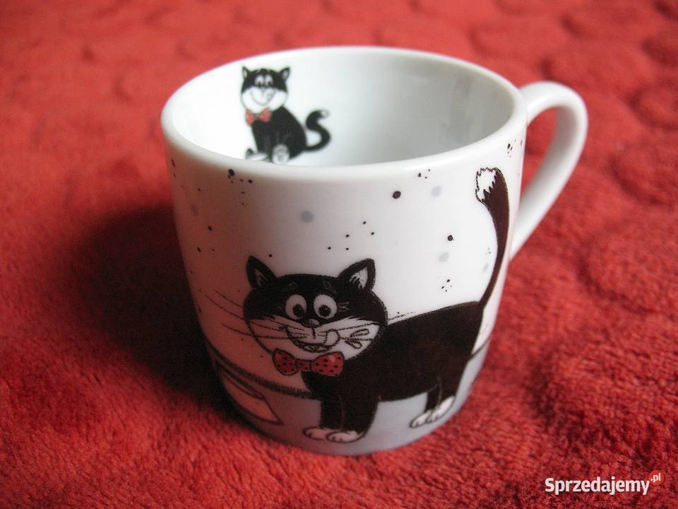 Kot mały kubek 5 x 5 Konitz mazowieckie Siedlce