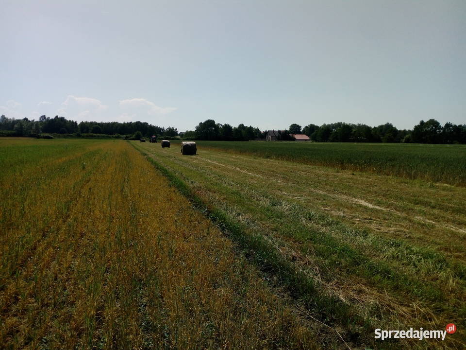 Siano baloty 120 Rolnictwo Zabawa