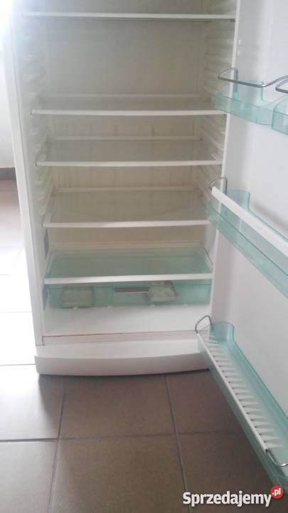 Duża lodówka Gorenje HS 2961 290 wolnostojące Szczytna