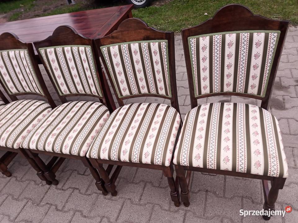 Witryna Biblioteka z szybkami Dąb kompletna Kozy