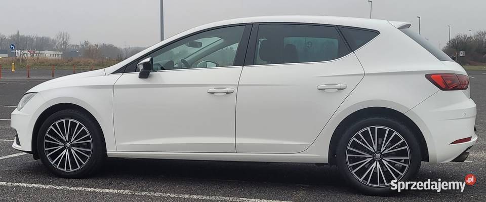 Leon 3 14 125 FL XCELLENCE FullLED Poznań