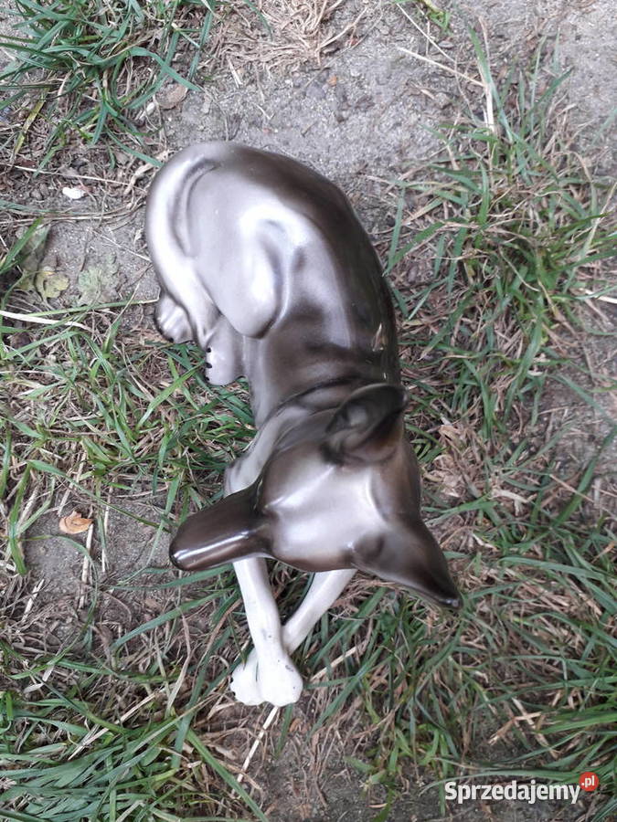 Na prezent figurka porcelanowa wilczur wilk