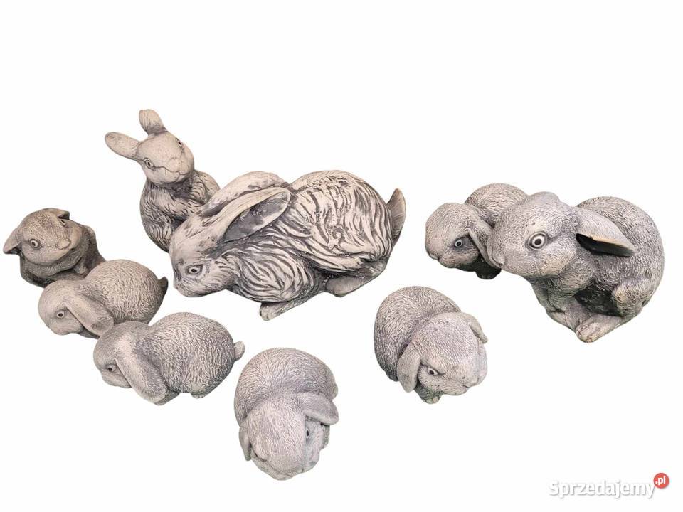 Rodzinka królików króliczki Wrocław sprzedam