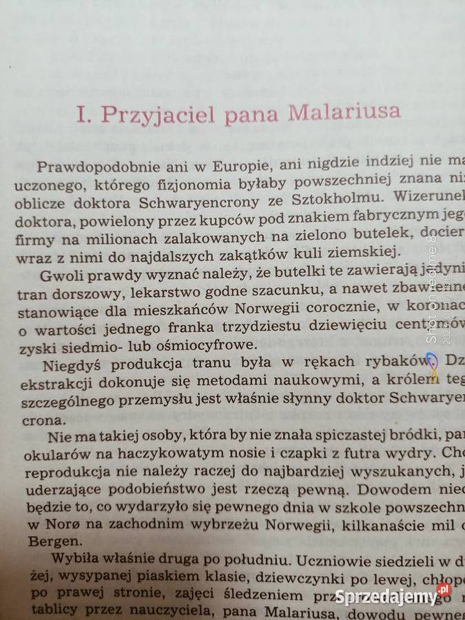 Rozbitek Cynthii Verne śląsk książki pierwsze