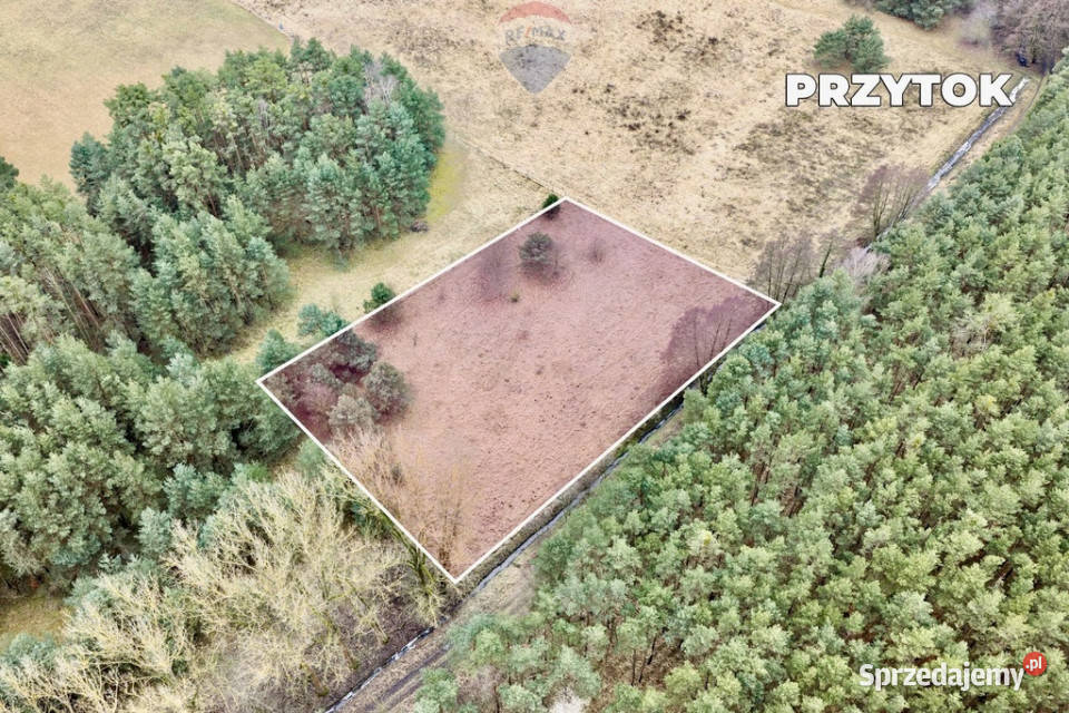 Na sprzedaż działka rolna o pow 4000 m Przytok