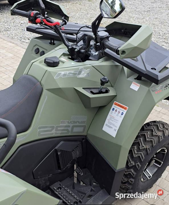 ASIX Inny Asix Cyber 250 rr z Homologacją T3B wielkopolskie Stare Miasto