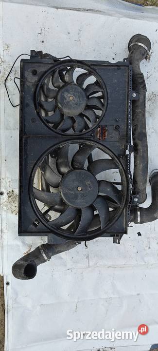 Opel Signum wentylator chłodnicy osobowe Siechnice